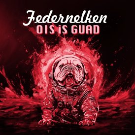 Federnelken - Cover - Ois is guad